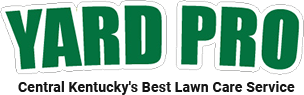 A green and white logo for the word " fraud ".