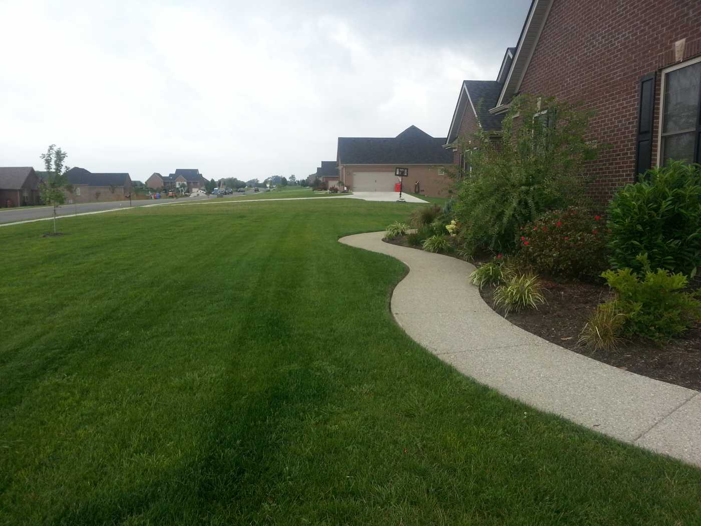 A lawn with grass and bushes in the background.